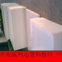 济南市天桥区威利达塑料板材厂 匠心铸就PE塑料板的行业标杆
